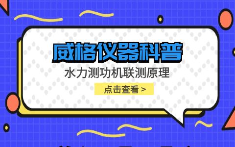 威格儀器-水力測功機聯測原理插圖 威格儀器-水力測功機聯測原理插圖