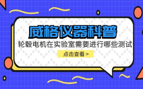威格儀器-輪轂電機在實驗室需要進行哪些測試插圖 威格儀器-輪轂電機在實驗室需要進行哪些測試插圖